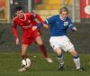 PORTADOWN_VS_LINFIELD_(30).JPG