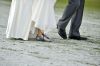 Wedding_at_Windsor_park_08.jpg